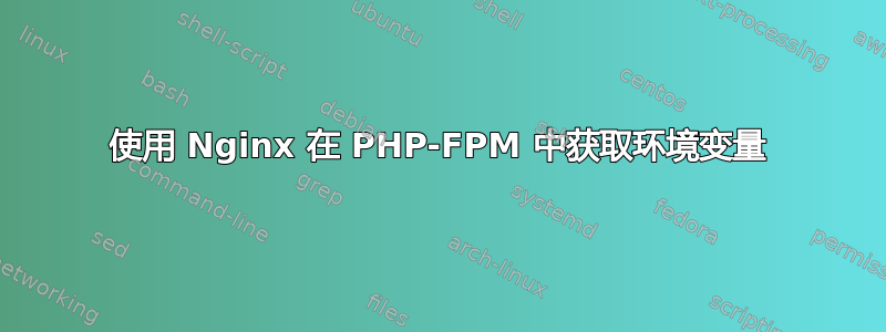 使用 Nginx 在 PHP-FPM 中获取环境变量