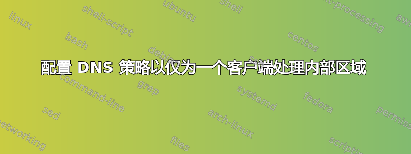 配置 DNS 策略以仅为一个客户端处理内部区域