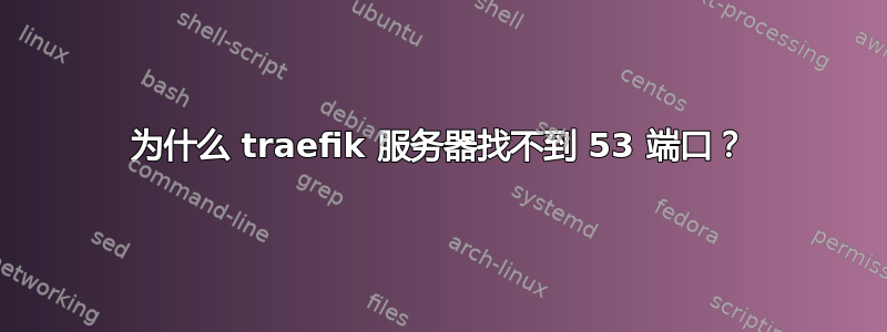 为什么 traefik 服务器找不到 53 端口？