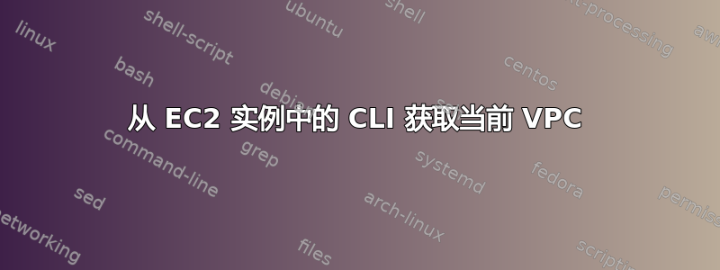 从 EC2 实例中的 CLI 获取当前 VPC