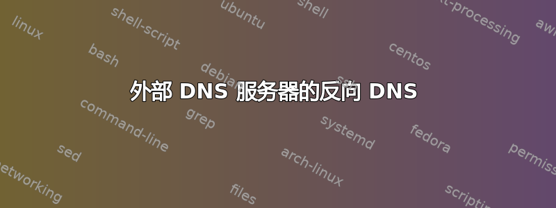 外部 DNS 服务器的反向 DNS