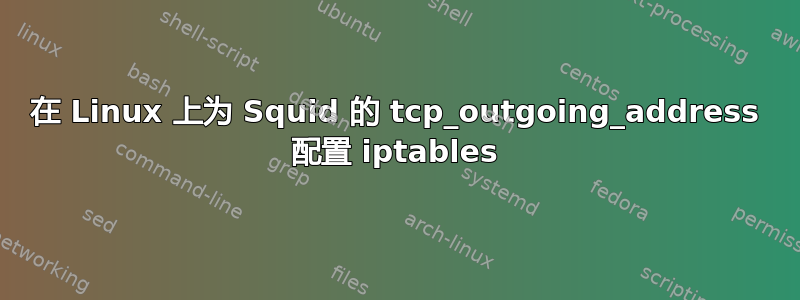 在 Linux 上为 Squid 的 tcp_outgoing_address 配置 iptables