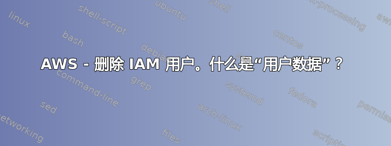 AWS - 删除 IAM 用户。什么是“用户数据”？