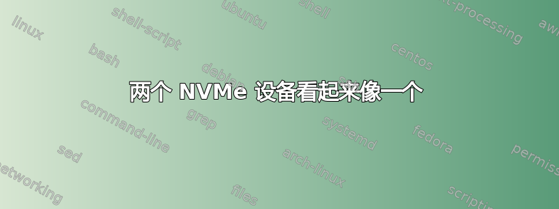 两个 NVMe 设备看起来像一个