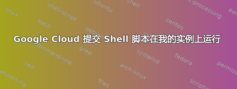 Google Cloud 提交 Shell 脚本在我的实例上运行