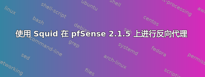 使用 Squid 在 pfSense 2.1.5 上进行反向代理