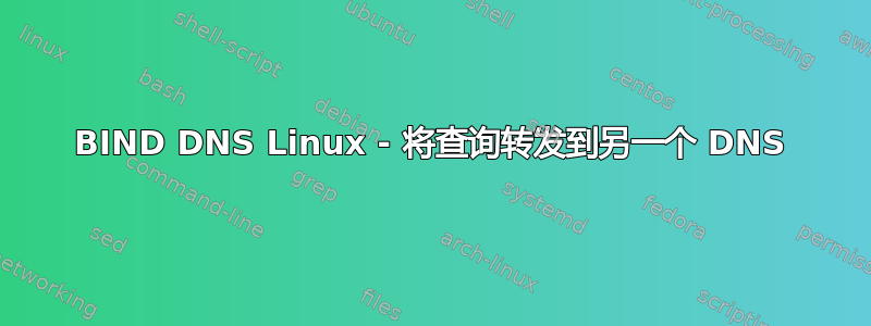 BIND DNS Linux - 将查询转发到另一个 DNS