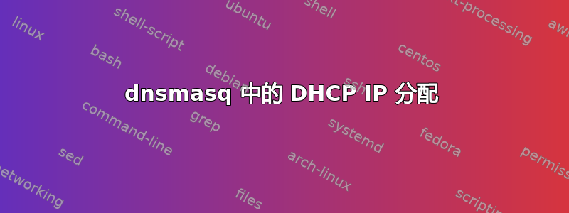 dnsmasq 中的 DHCP IP 分配