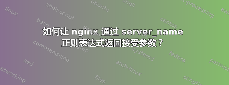 如何让 nginx 通过 server_name 正则表达式返回接受参数？