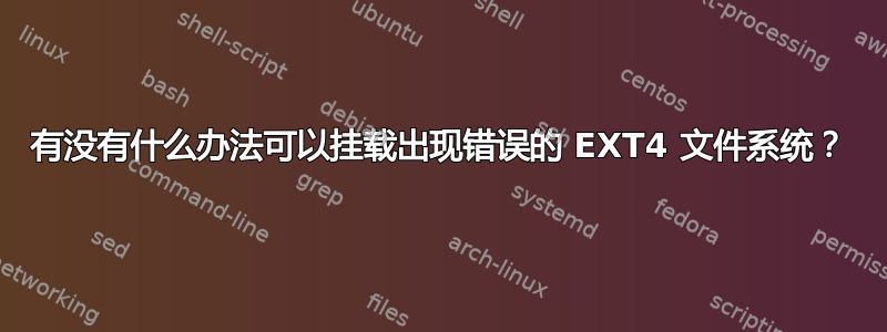 有没有什么办法可以挂载出现错误的 EXT4 文件系统？