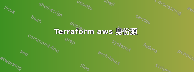 Terraform aws 身份源