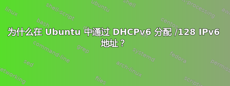 为什么在 Ubuntu 中通过 DHCPv6 分配 /128 IPv6 地址？