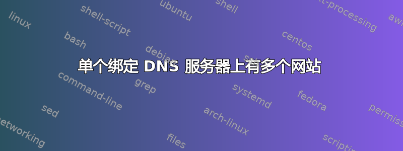 单个绑定 DNS 服务器上有多个网站