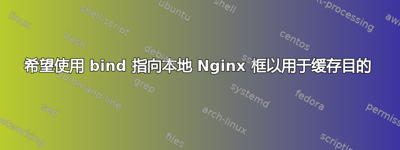 希望使用 bind 指向本地 Nginx 框以用于缓存目的