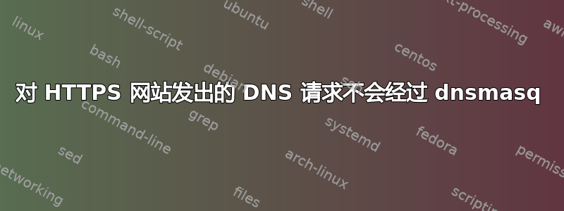 对 HTTPS 网站发出的 DNS 请求不会经过 dnsmasq