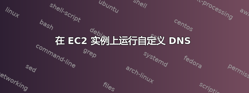 在 EC2 实例上运行自定义 DNS