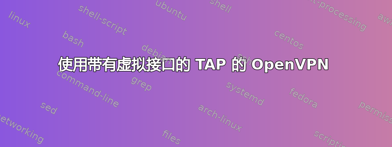 使用带有虚拟接口的 TAP 的 OpenVPN