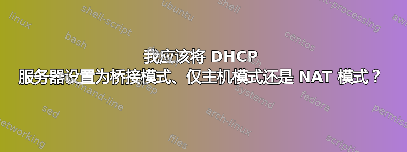 我应该将 DHCP 服务器设置为桥接模式、仅主机模式还是 NAT 模式？