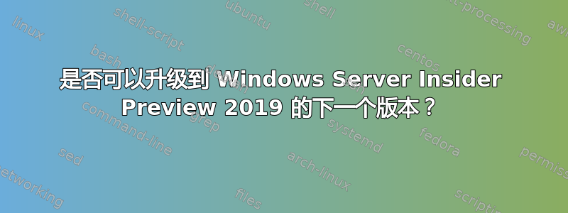 是否可以升级到 Windows Server Insider Preview 2019 的下一个版本？