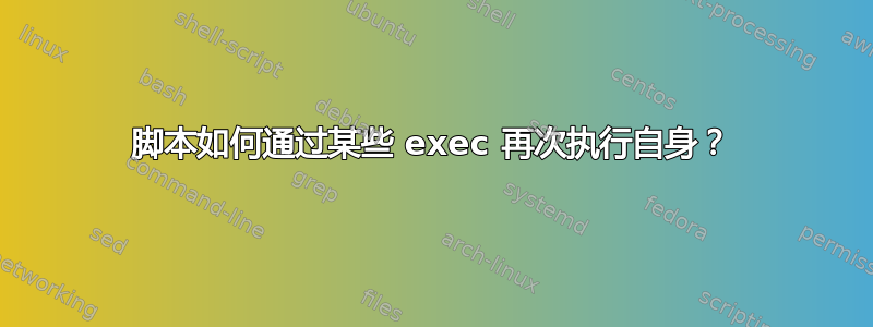 脚本如何通过某些 exec 再次执行自身？