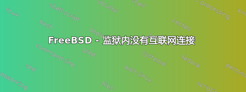 FreeBSD - 监狱内没有互联网连接