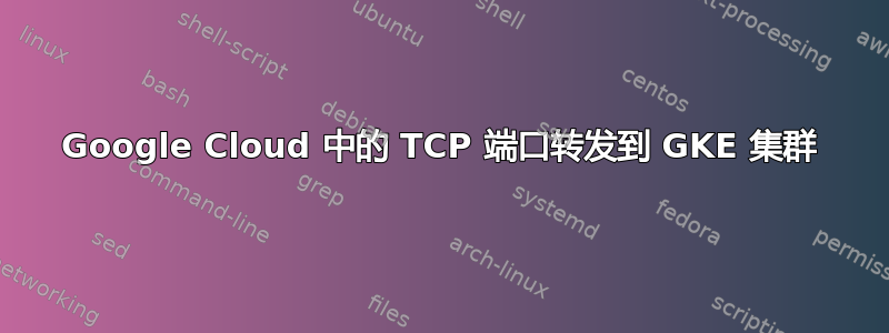 Google Cloud 中的 TCP 端口转发到 GKE 集群