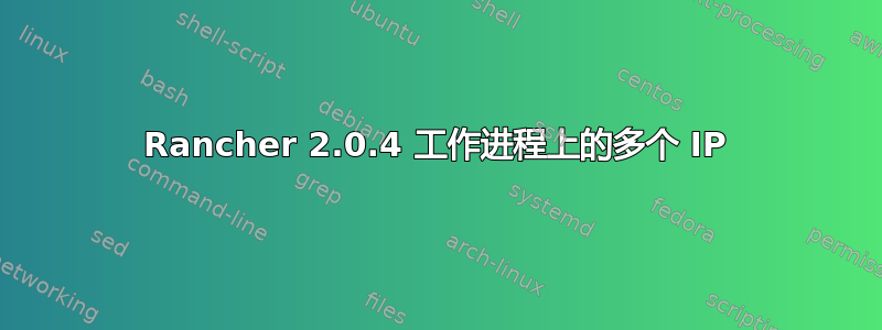 Rancher 2.0.4 工作进程上的多个 IP