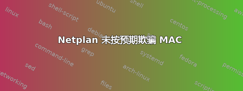 Netplan 未按预期欺骗 MAC