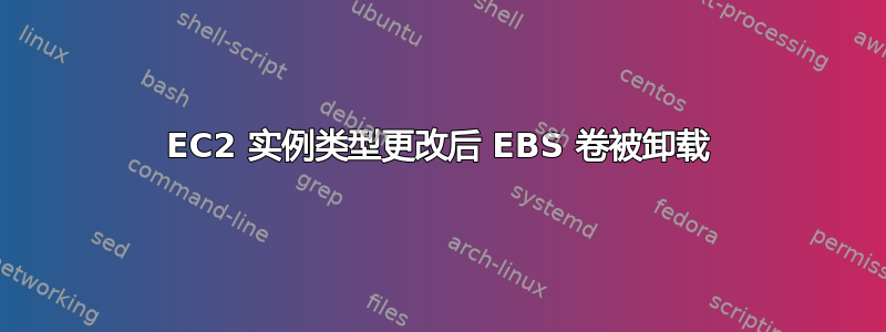 EC2 实例类型更改后 EBS 卷被卸载