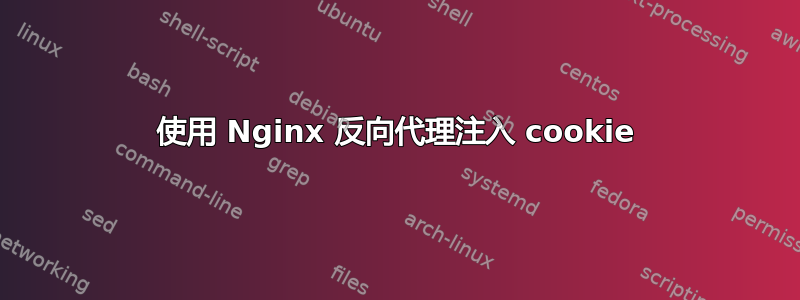 使用 Nginx 反向代理注入 cookie