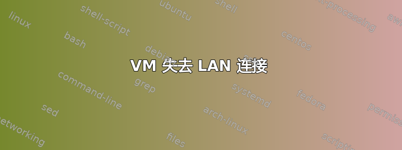 VM 失去 LAN 连接