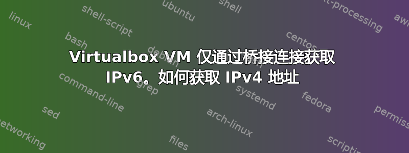 Virtualbox VM 仅通过桥接连接获取 IPv6。如何获取 IPv4 地址