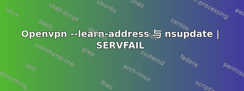 Openvpn --learn-address 与 nsupdate | SERVFAIL