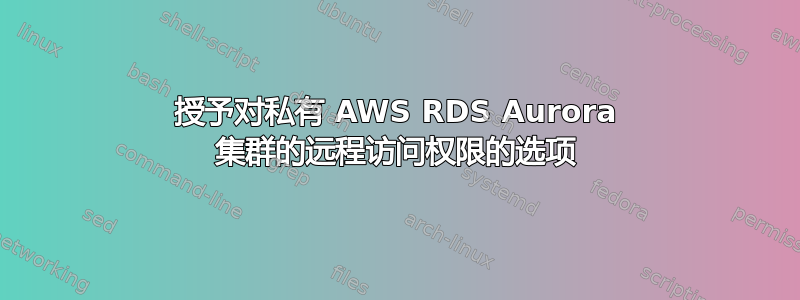 授予对私有 AWS RDS Aurora 集群的远程访问权限的选项