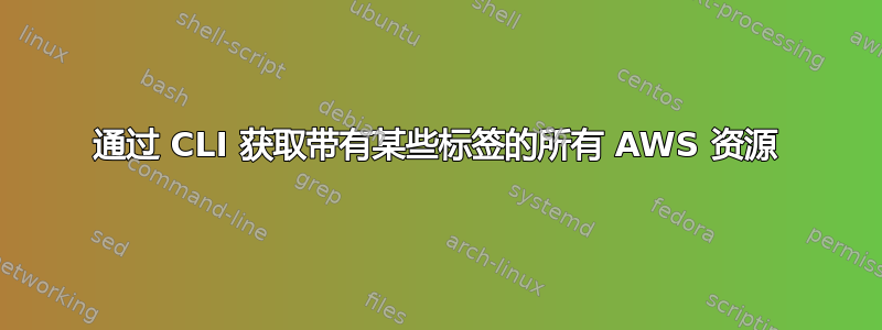 通过 CLI 获取带有某些标签的所有 AWS 资源