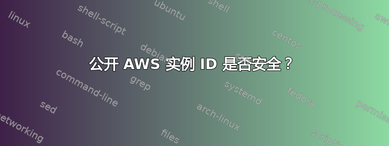 公开 AWS 实例 ID 是否安全？