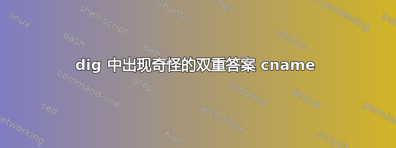 dig 中出现奇怪的双重答案 cname