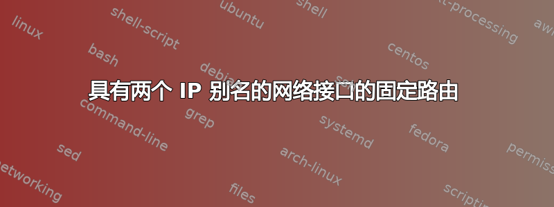 具有两个 IP 别名的网络接口的固定路由