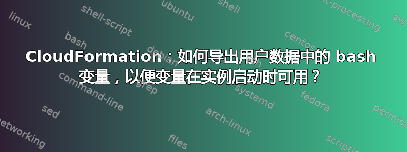 CloudFormation：如何导出用户数据中的 bash 变量，以便变量在实例启动时可用？