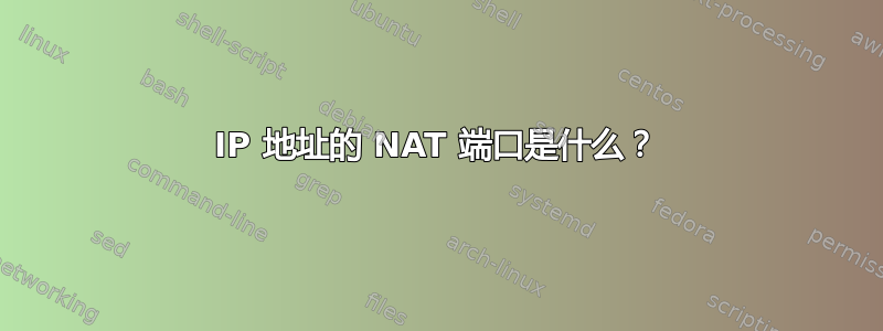 IP 地址的 NAT 端口是什么？