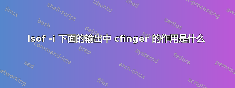 lsof -i 下面的输出中 cfinger 的作用是什么