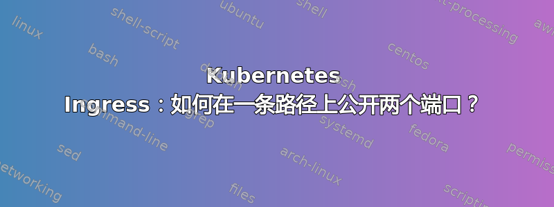 Kubernetes Ingress：如何在一条路径上公开两个端口？