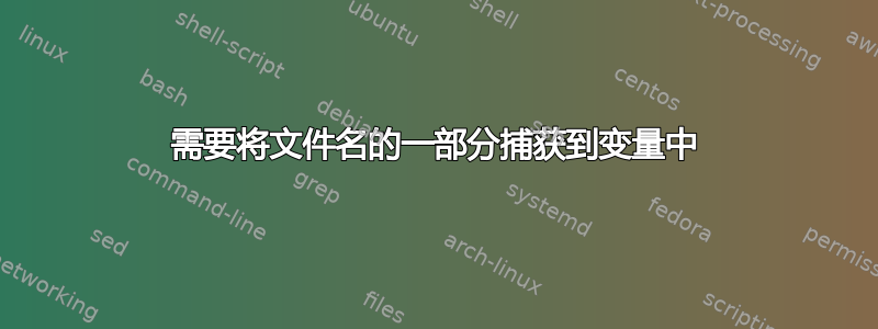 需要将文件名的一部分捕获到变量中