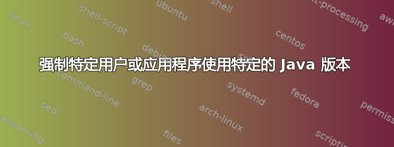 强制特定用户或应用程序使用特定的 Java 版本