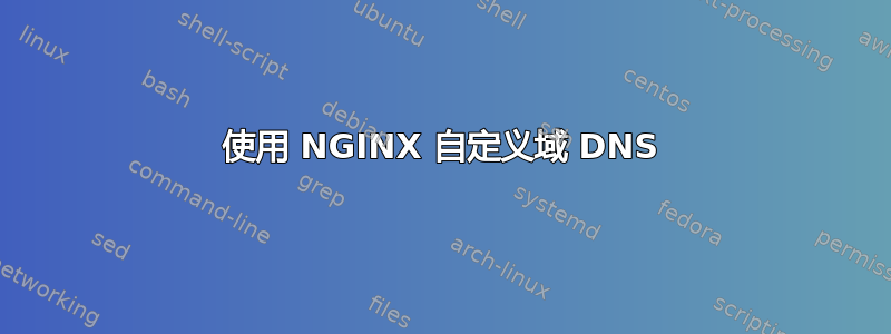 使用 NGINX 自定义域 DNS