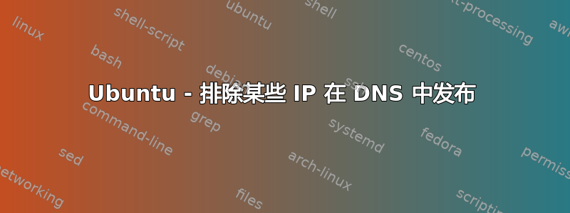 Ubuntu - 排除某些 IP 在 DNS 中发布