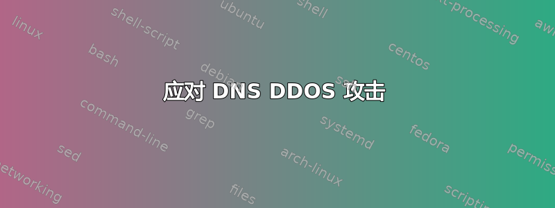 应对 DNS DDOS 攻击