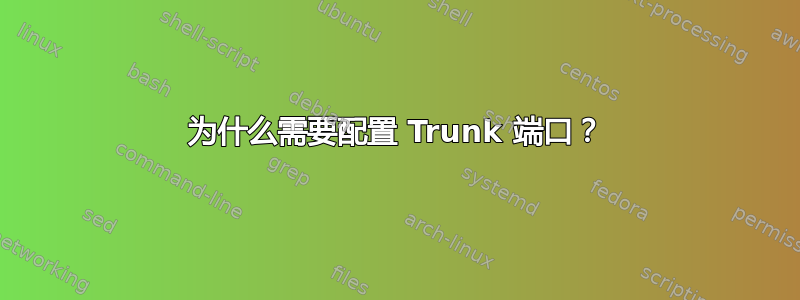 为什么需要配置 Trunk 端口？