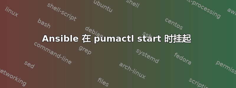 Ansible 在 pumactl start 时挂起