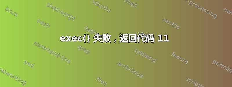 exec() 失败，返回代码 11